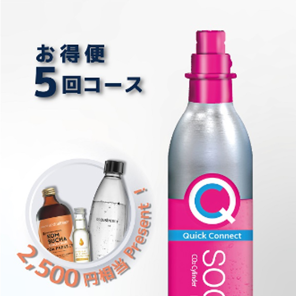 SodaStream ガスシリンダー 60L お得便 2本×5回分